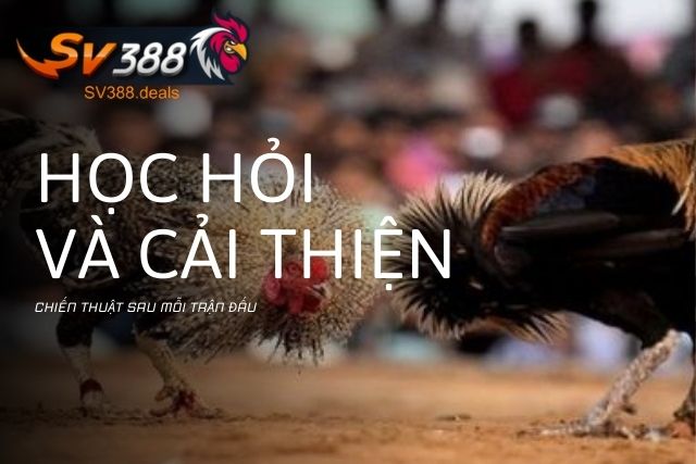 Học hỏi và cải thiện chiến thuật sau mỗi trận đấu