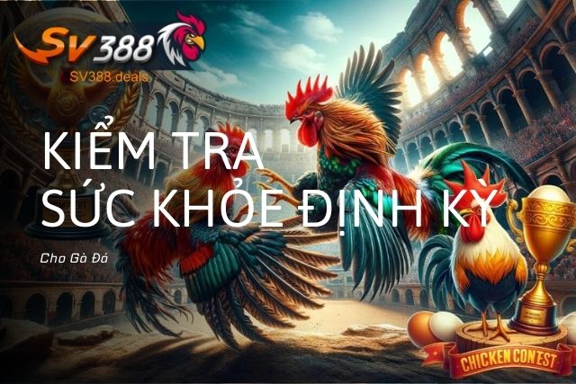 Cách Kiểm Tra Sức Khỏe Định Kỳ Cho Gà Đá Mà Ai Cũng Nên Biết