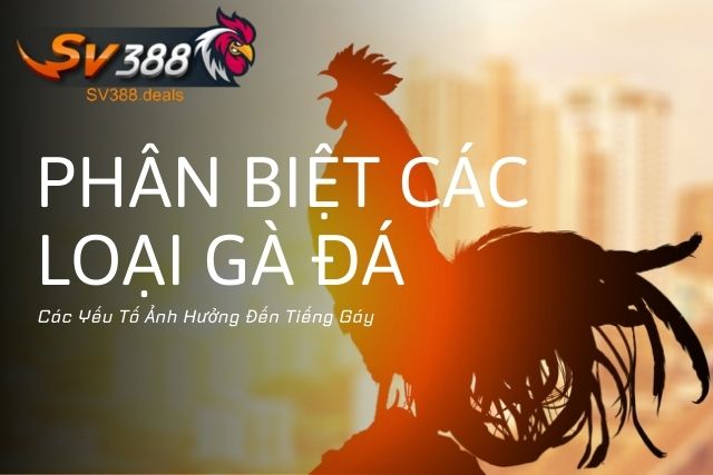 Các Yếu Tố Ảnh Hưởng Đến Tiếng Gáy