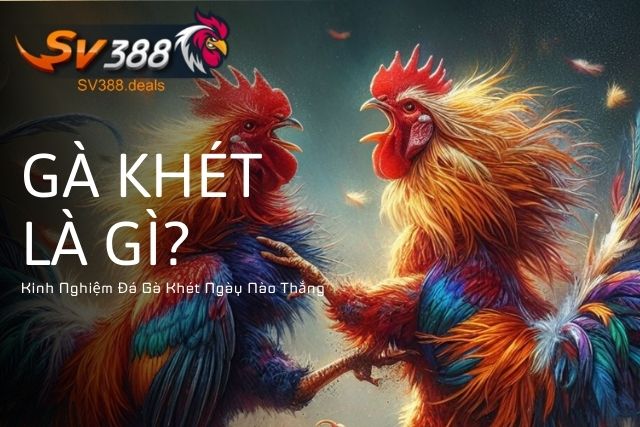 Gà Khét Là Gì? Kinh Nghiệm Đá Gà Khét Ngày Nào Thắng