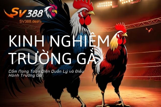 Kinh Nghiệm Quản Lý và Điều Hành Trường Gà: Cẩm Nang Toàn Diện