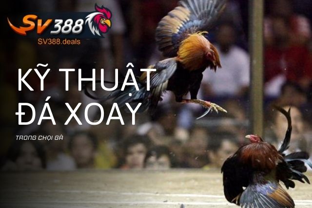 Kỹ thuật đá xoay trong chọi gà