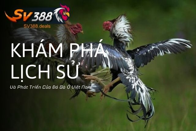 Khám Phá Lịch Sử Và Phát Triển Của Đá Gà Ở Việt Nam