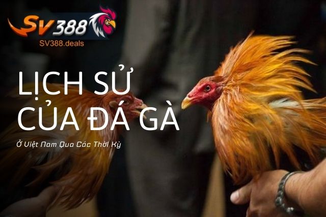 Lịch Sử Của Đá Gà Ở Việt Nam Qua Các Thời Kỳ 